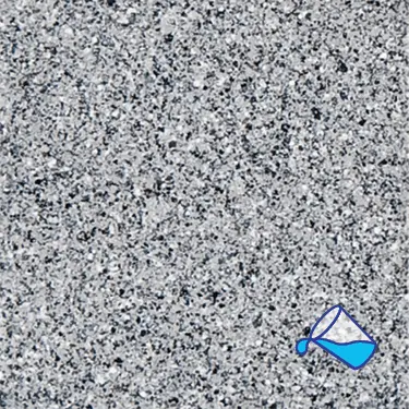 Grey Reef